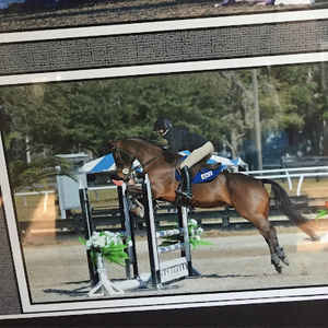 Meet your Posher, Olivia